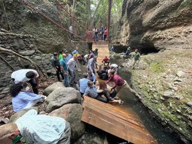 El Partido Verde lamenta la tragedia sucedida en el puente colgante