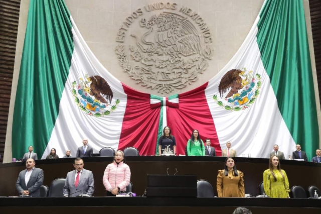 Imagen oficial de la actual legislatura federal.