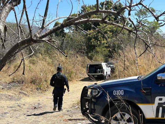 Se desconoce quién o quiénes abandonaron el cadáver.