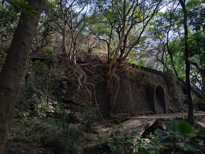 La barranca de Chapultepec, historia de conservación