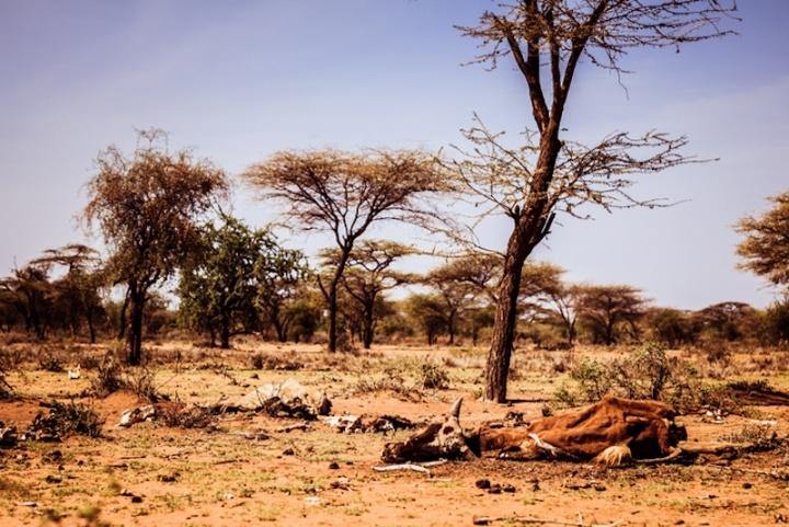 Madagascar: el primer país que enfrenta una hambruna por el cambio climático