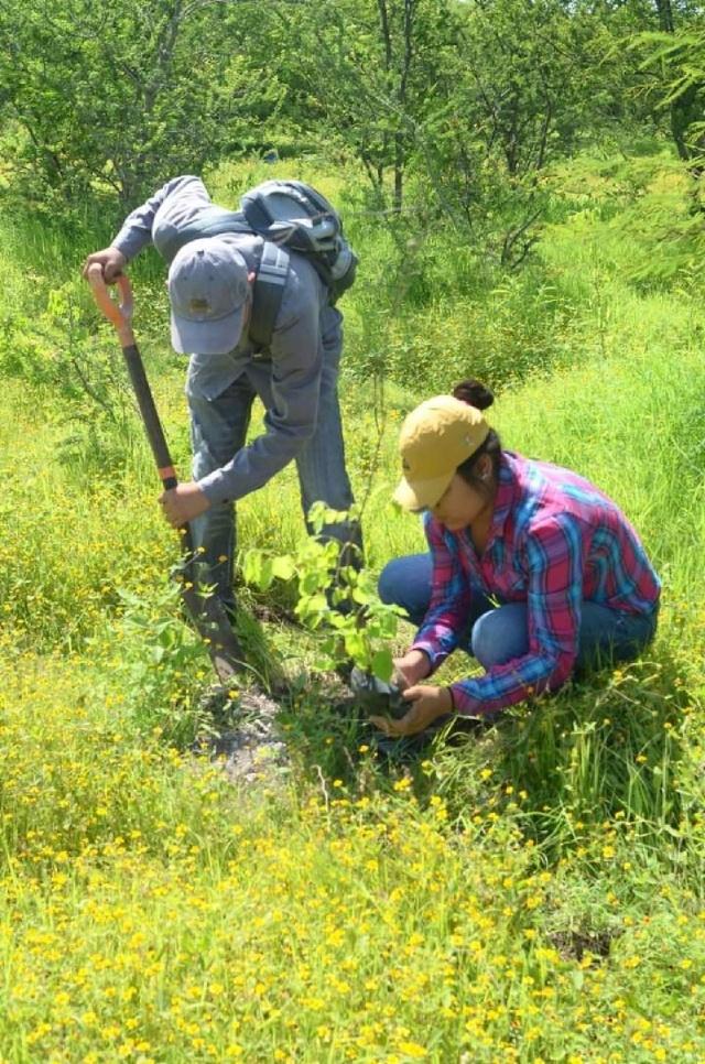 Con la plantación de árboles se busca mitigar los efectos del cambio climático.