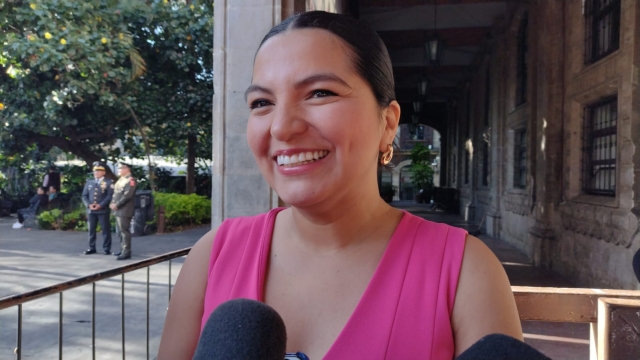 Inicia Congreso de Morelos diálogo sobre maternidad subrogada: diputada Montes de Oca Montoya