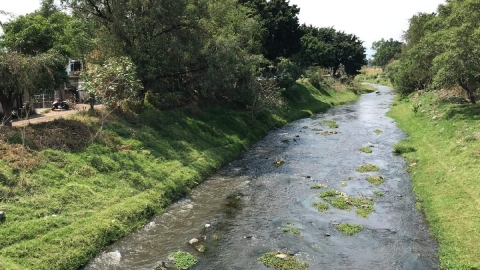 M&aacute;s de 100 descargas de aguas negras contaminan el r&iacute;o Cuautla