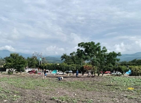 Inician reforestación en Miacatlán para proyecto de parque ecoturístico