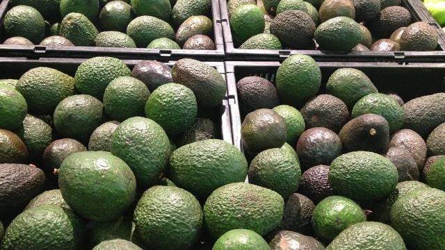 Costa Rica levanta el bloqueo al aguacate mexicano