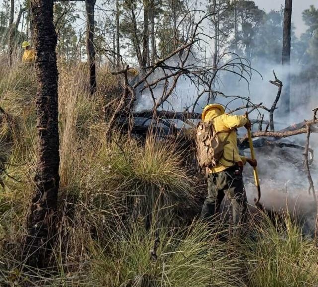 Cuatro incendios forestales se registraron en Morelos, este fin de semana