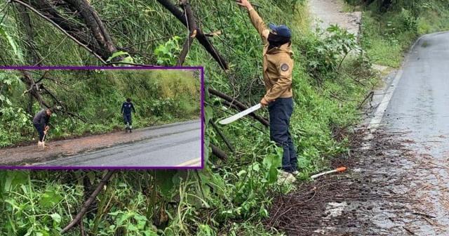 Protección Civil de Temixco atiende caída de árbol en Puente de Pollo