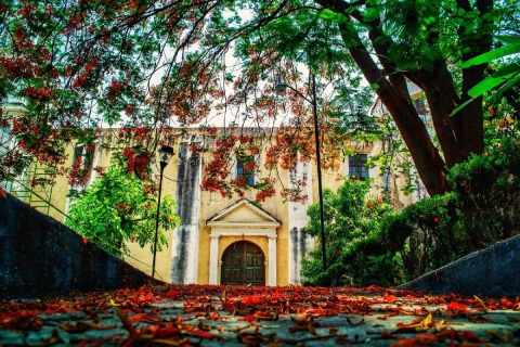 Xochitepec, oportunidad para conectar con la naturaleza