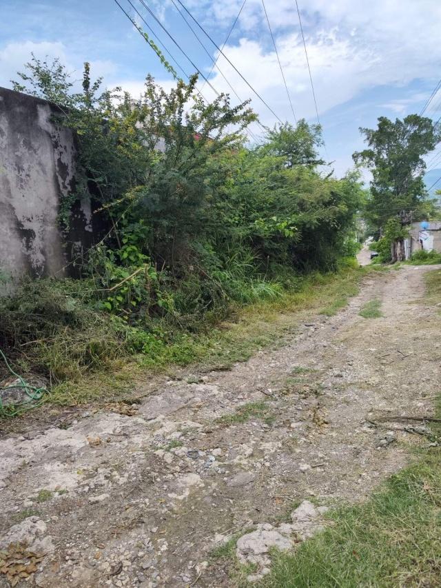 La ayudante municipal deploró que los propietarios de los predios los dejan abandonados y en lugar de aportar para el beneficio de la colonia, se llenan de maleza y causan problemas.