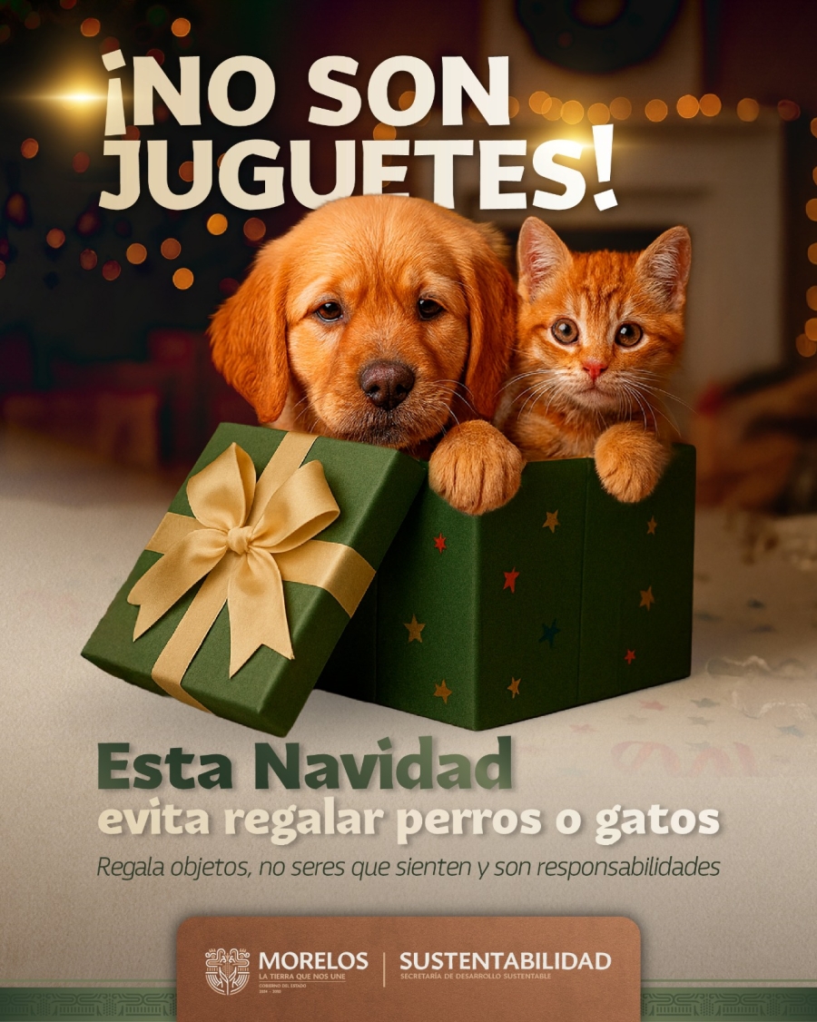 Exhorta SDS a evitar regalar animales en temporada decembrina