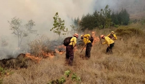 Aumentan incendios en Miacatlán; van 300 hectáreas afectadas