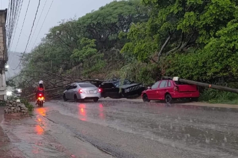 Choques y árboles caídos, saldo de granizada del lunes