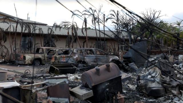 Posibles causas que originaron los incendios forestales en Hawái