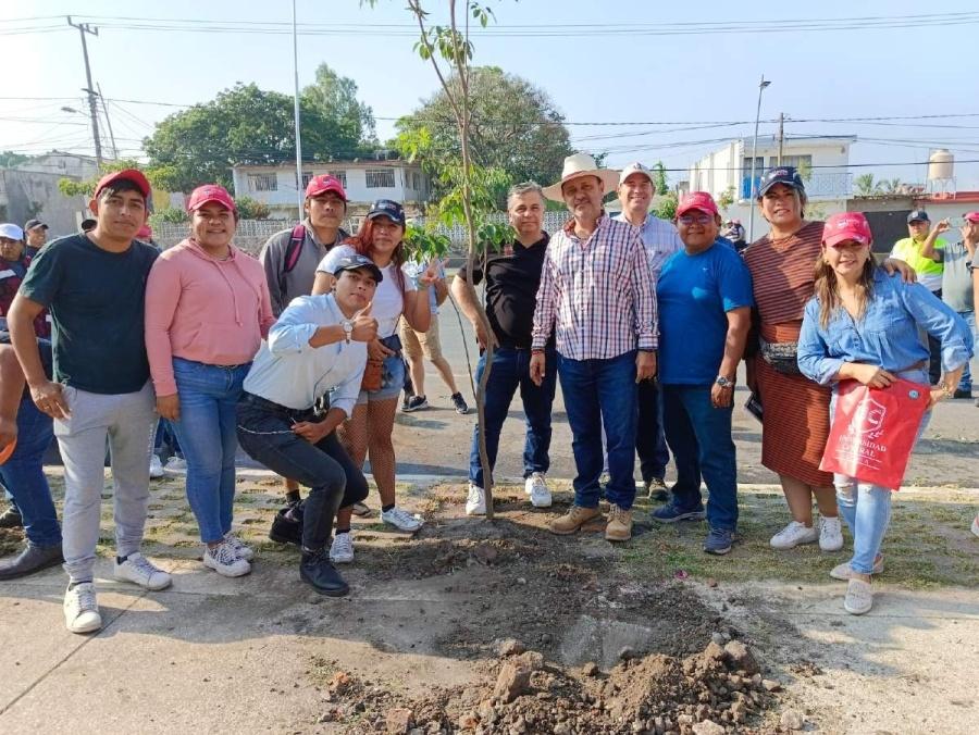 La siembra de los 75 árboles forma parte de la segunda etapa de la reforestación de la carretera.