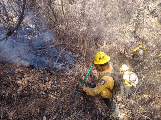 Controlados y liquidados al 100% tres incendios forestales