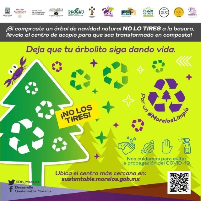 Inicia SDS reciclaje de árboles navideños 2022 con tres centros de acopio