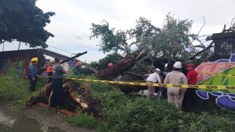 Autoridades acudieron a las zonas donde se registraron las afectaciones.