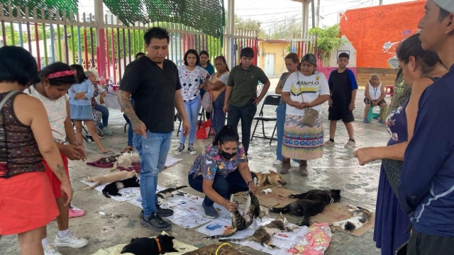 Durante la jornada en la colonia La Joya realizaron 60 cirugías.