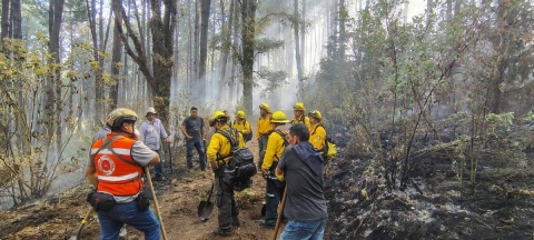 Coordinan esfuerzos interinstitucionales para combatir incendio forestal en Ocuituco