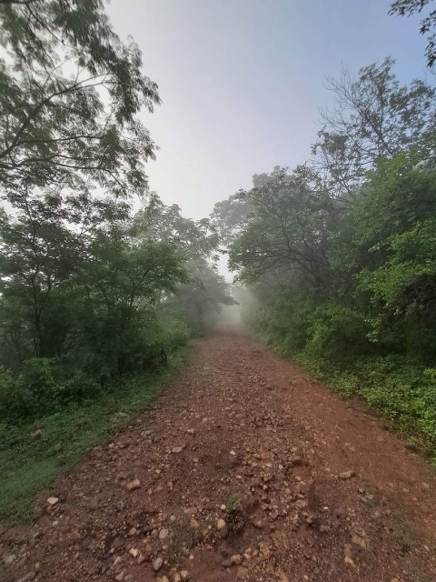 La carrera pasará por paisajes naturales de la región que permitirán apreciar la riqueza natural de la zona sur.