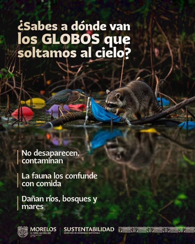 Llaman a erradicar pr&aacute;cticas que da&ntilde;an el medio ambiente en festejos de D&iacute;a de Reyes