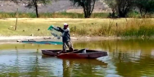 En años recientes, la actividad pesquera se ha enfrentado a diversas problemáticas que ya no la hacen tan rentable.