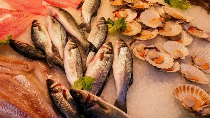 Cuaresma 2023: ¿Cuáles son los pescados que más se consumen en México?