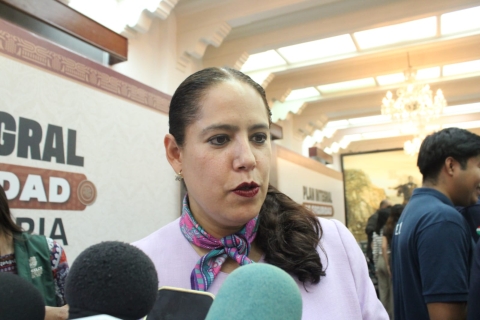 Salarios de rectores de universidades y directores de subsistemas se fijan mediante tabuladores federales: Educaci&oacute;n