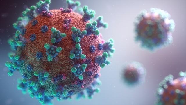 Calculan cuánto pesa todo el coronavirus del mundo