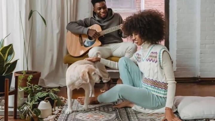 Sí puedes tener tapetes y perros: Cómo elegir y cuidar las alfombras con mascotas en casa