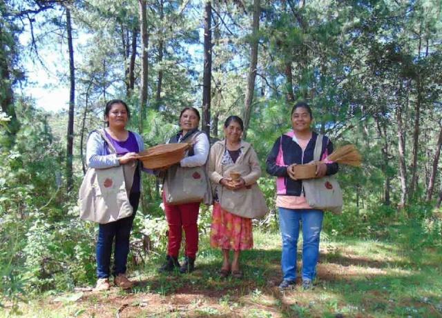 Respetar en lugar de regatear, para salvar la artesanía mexicana