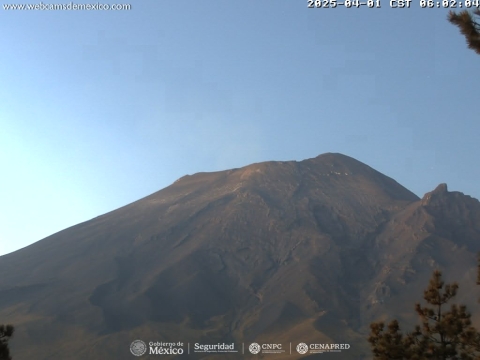 Registra 20 exhalaciones volcán Popocatépetl; se mantiene semáforo amarillo fase 2