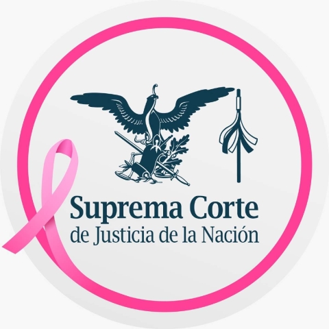 Valida SCJN normas contra violencia vicaria