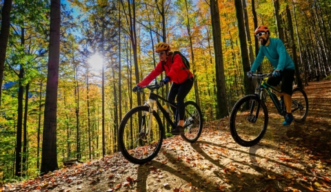 Día mundial de la bicicleta: un homenaje a la movilidad sustentable