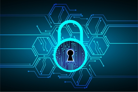 Emite la SSC recomendaciones clave para proteger tu cuenta de WhatsApp y evitar fraudes digitales