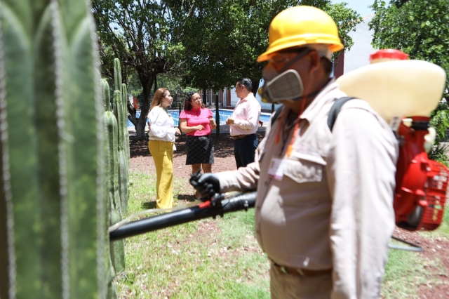 Realizan sesión de promoción, prevención y atención del dengue en municipios de la zona sur