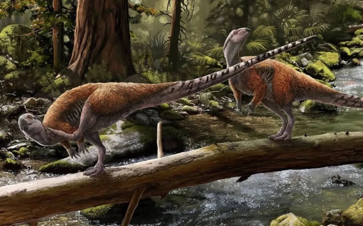 Descubren nueva especie de dinosaurio europeo