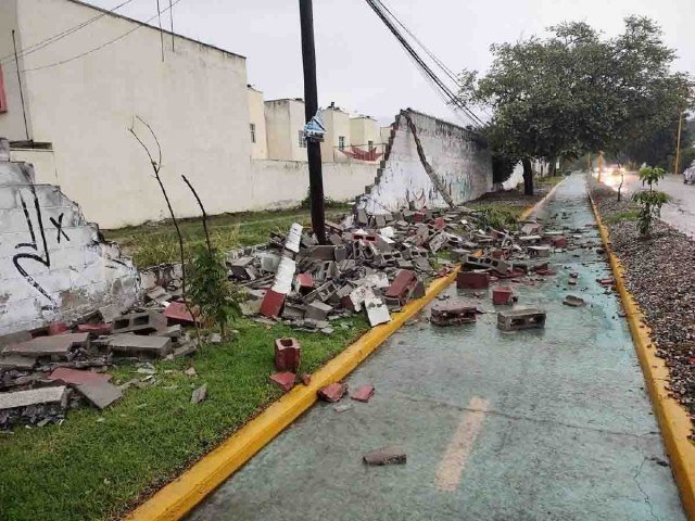 En la colonia Benito Juárez colapsó una barda.