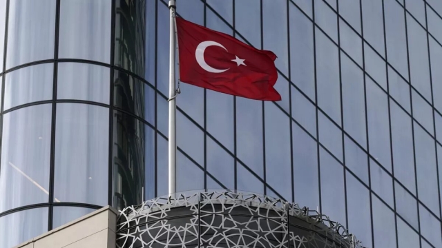 Turquía considera sacrificar 4 millones de perros callejeros