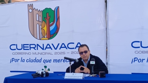 Enfermos, secos o colapsados, mayor&iacute;a de &aacute;rboles de predio donde se construir&aacute; templo en Reforma: Desarrollo Sustentable