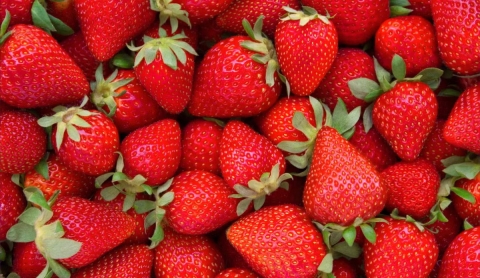 Los mejores momentos para comer fresas y sus beneficios