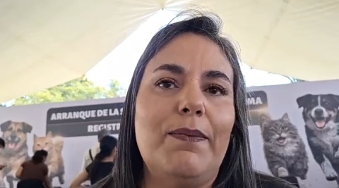 Llaman a frenar envenenamiento de perros y gatos en municipios como Tlayacapan, Xochitepec y Cuautla