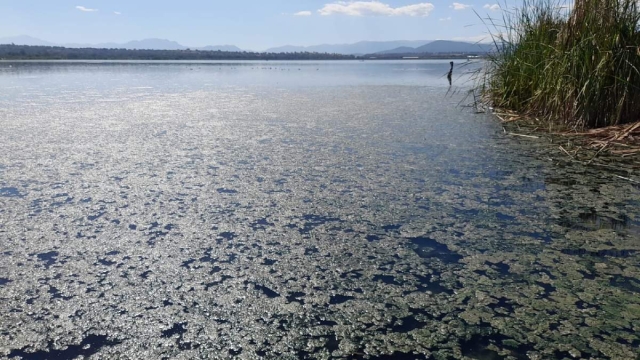 Temen que el agua se contamine si la planta opera de manera incorrecta.