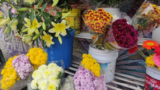  “Las flores que más se venden son para velorios”