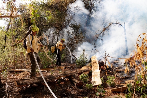 Dos incendios forestales activos, en Santa María en Cuernavaca y en Tetela del Volcán: SDS