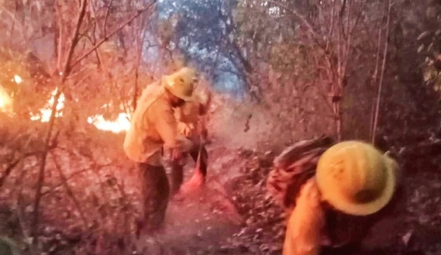 Combatientes forestales atendieron dos incendios, en Atlatlahucan y Tepoztlán