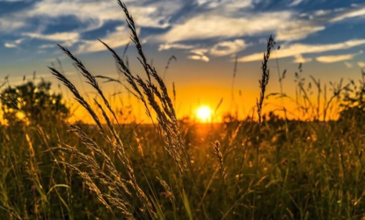 Proponen tres medidas para disminuir emisiones de CO2 en la agricultura