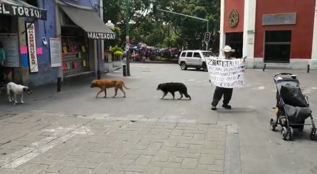 En el centro de Cuernavaca, este domingo seis de junio