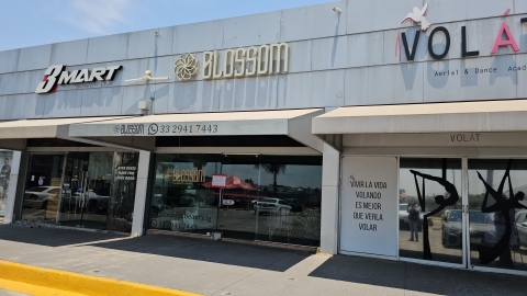 Avanza investigación por asesinato de Valeria Márquez; agresores fueron captados en cámara